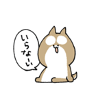 しばいぬとめがねねこ（個別スタンプ：19）