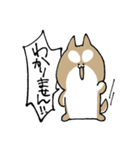 しばいぬとめがねねこ（個別スタンプ：24）