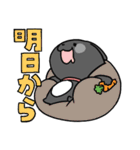 相棒ウサギ【デカ文字】（個別スタンプ：23）