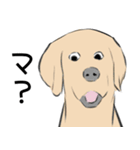 ゆうとモコLINEスタンプ【修正版】（個別スタンプ：4）