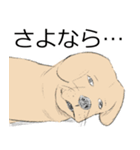 ゆうとモコLINEスタンプ【修正版】（個別スタンプ：17）