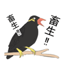 ゆうとモコLINEスタンプ【修正版】（個別スタンプ：38）