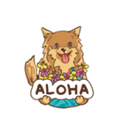 -Malama Pono- ALOHA PICNIC（挨拶編）（個別スタンプ：1）