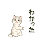 男性も使いやすい猫にゃんスタンプ（個別スタンプ：25）