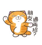 ランラン猫 49 (台湾版)（個別スタンプ：1）