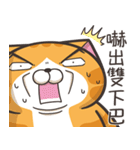 ランラン猫 49 (台湾版)（個別スタンプ：5）