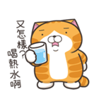ランラン猫 49 (台湾版)（個別スタンプ：8）