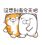 ランラン猫 49 (台湾版)（個別スタンプ：11）