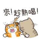 ランラン猫 49 (台湾版)（個別スタンプ：12）