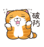ランラン猫 49 (台湾版)（個別スタンプ：13）