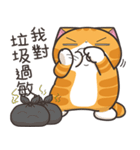 ランラン猫 49 (台湾版)（個別スタンプ：16）