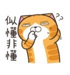 ランラン猫 49 (台湾版)（個別スタンプ：20）