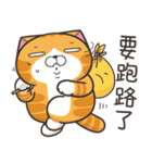 ランラン猫 49 (台湾版)（個別スタンプ：21）