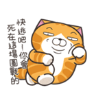 ランラン猫 49 (台湾版)（個別スタンプ：30）
