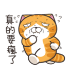 ランラン猫 49 (台湾版)（個別スタンプ：31）