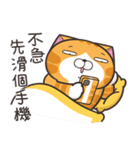 ランラン猫 49 (台湾版)（個別スタンプ：35）