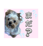 みんなのリカちゃん（個別スタンプ：1）