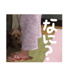 みんなのリカちゃん（個別スタンプ：4）