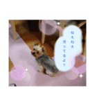 みんなのリカちゃん（個別スタンプ：7）