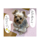 みんなのリカちゃん（個別スタンプ：10）
