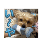 みんなのリカちゃん（個別スタンプ：12）