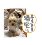 みんなのリカちゃん（個別スタンプ：16）