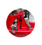 hiiiichans7（個別スタンプ：4）