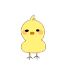 ぴよぴよ教スタンプ第二弾‼（個別スタンプ：23）