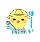 ぴよぴよ教スタンプ第二弾‼（個別スタンプ：29）