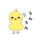 ぴよぴよ教スタンプ第二弾‼（個別スタンプ：30）