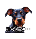 子犬たちの冬の様子（個別スタンプ：33）