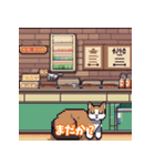 猫の日常ですねん（個別スタンプ：2）