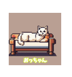 猫の日常ですねん（個別スタンプ：13）