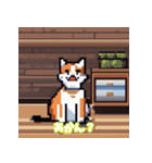 猫の日常ですねん（個別スタンプ：19）