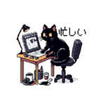 ドット絵 黒猫 40種 定番フレーズ クロネコ（個別スタンプ：3）