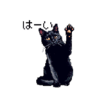 ドット絵 黒猫 40種 定番フレーズ クロネコ（個別スタンプ：4）