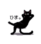 ドット絵 黒猫 40種 定番フレーズ クロネコ（個別スタンプ：5）