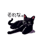 ドット絵 黒猫 40種 定番フレーズ クロネコ（個別スタンプ：6）