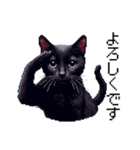 ドット絵 黒猫 40種 定番フレーズ クロネコ（個別スタンプ：8）