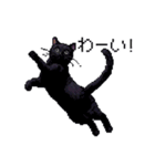 ドット絵 黒猫 40種 定番フレーズ クロネコ（個別スタンプ：10）