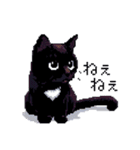 ドット絵 黒猫 40種 定番フレーズ クロネコ（個別スタンプ：11）