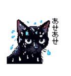 ドット絵 黒猫 40種 定番フレーズ クロネコ（個別スタンプ：13）