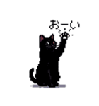 ドット絵 黒猫 40種 定番フレーズ クロネコ（個別スタンプ：14）