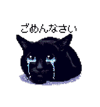 ドット絵 黒猫 40種 定番フレーズ クロネコ（個別スタンプ：15）