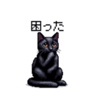 ドット絵 黒猫 40種 定番フレーズ クロネコ（個別スタンプ：16）