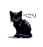 ドット絵 黒猫 40種 定番フレーズ クロネコ（個別スタンプ：21）