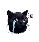 ドット絵 黒猫 40種 定番フレーズ クロネコ（個別スタンプ：22）