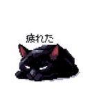 ドット絵 黒猫 40種 定番フレーズ クロネコ（個別スタンプ：24）