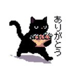 ドット絵 黒猫 40種 定番フレーズ クロネコ（個別スタンプ：26）