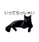 ドット絵 黒猫 40種 定番フレーズ クロネコ（個別スタンプ：35）